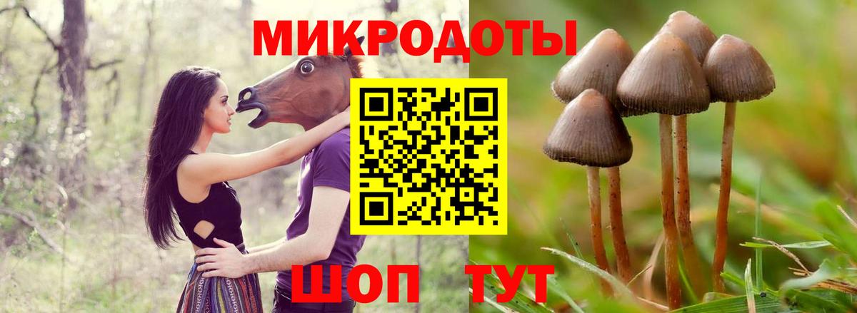 Псилоцибиновые грибы Psilocybine cubensis  Галлюциногенные грибы прущие грибы  Вход с VPN  Рыбинск 